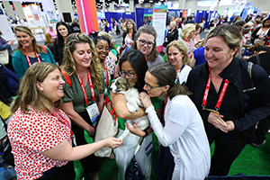 AORN Expo Attendees cuddle a puppy up for adoption